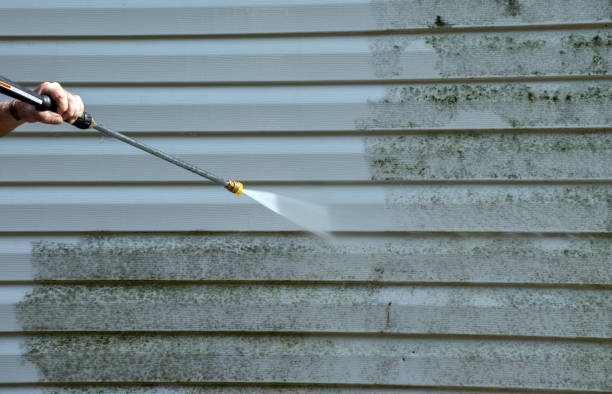 Best Roof Pressure Washing  in Dolton, IL