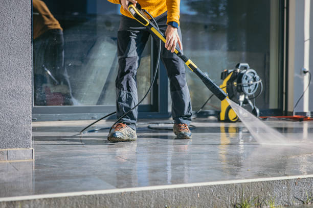 Best Roof Pressure Washing  in Dolton, IL