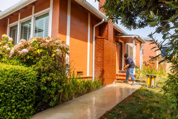 Best House Pressure Washing  in Dolton, IL